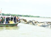 Misteri Pagar Bambu 30 Kilometer di Laut Tangerang, Ribuan Nelayan Rugi Rp 9 Miliar