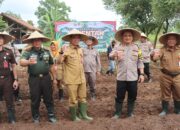 Wujudkan Ketahanan Pangan Nasional, Polresta Tangerang Tanam 1 Juta Hektar Jagung