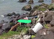 Penemuan Tengkorak Manusia di Pesisir Lelehan Gegerkan Warga, Diduga Korban Jatuh di Selat Sunda