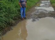 Jalan Rusak Parah di Sukarame, Warga Sindir Pemerintah: Lebih Cocok Jadi Empang Lele