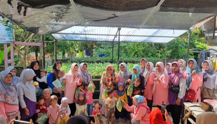 KWT Pucuk Merah Ciwaduk Jadi Contoh Kemandirian Pangan di Cilegon