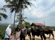 Qurban Gak Bikin Kantong Kering: Bank Qurban Banten Tawarkan Cicilan Fleksibel dan Gratis Ongkir