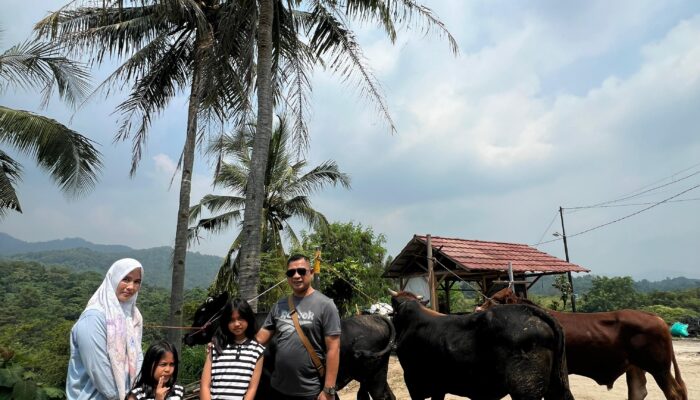 Qurban Gak Bikin Kantong Kering: Bank Qurban Banten Tawarkan Cicilan Fleksibel dan Gratis Ongkir