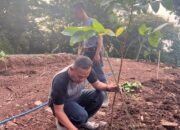 Hijaukan Gunung Pinang: Perhutani Tanam 250 Bibit Pohon Bersama Warga Sekitar