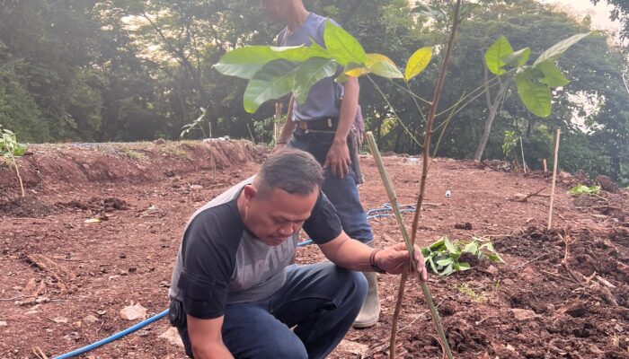 Hijaukan Gunung Pinang: Perhutani Tanam 250 Bibit Pohon Bersama Warga Sekitar