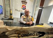 66 Preman Disikat, 13 Jadi Tersangka: Oknum Ormas Terlibat, Ada yang Pakai Narkoba