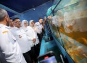 Gubernur Andra Soni Genjot Ekonomi Daerah Lewat Perikanan di Banten