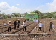 Polresta Tangerang Genjot Ketahanan Pangan Lewat Program P2L