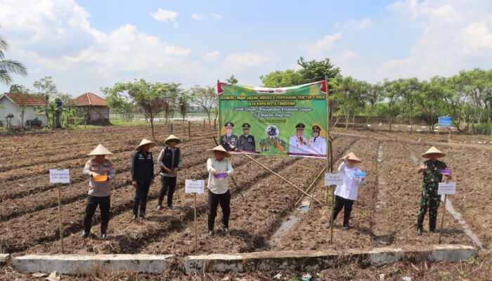 Polresta Tangerang Genjot Ketahanan Pangan Lewat Program P2L