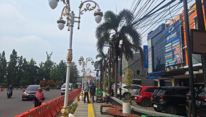 Robinsar Bangun Taman Semi Jogja Pakai Uang Pribadi: Spot Viral Ini Habiskan Rp250 Juta