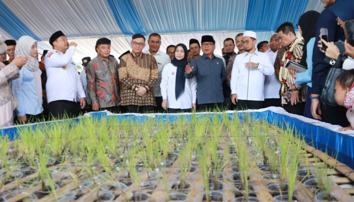 Desa Sindanglaya Jadi Pilot Project Radenmas 2045, Ustadz Adi Hidayat Dan Kemendes Gaspol Wujudkan Indonesia Emas dari Desa