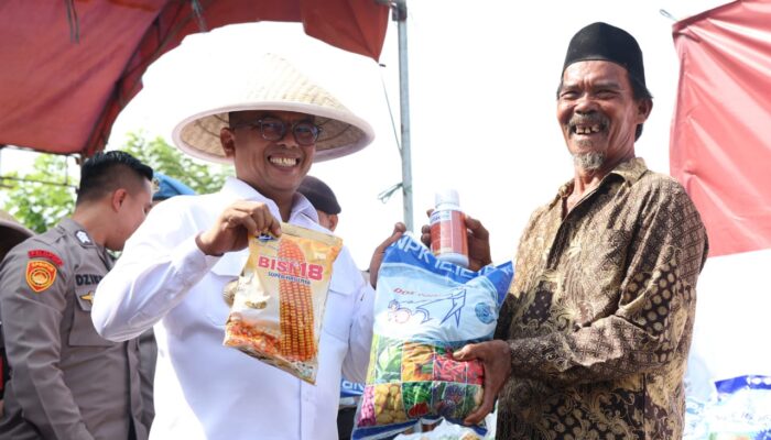 Andra Soni Genjot Ketahanan Pangan Lewat Jagung di Kanan-Kiri Tol