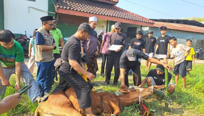 PKS Kota Serang Tebar 700 Paket Kurban untuk Warga Kaligandu