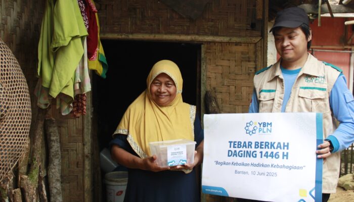 PLN Bawa Sapi Kurban ke Pelosok Lebak: Tangis Haru Warnai Idul Adha Pertama di Conghak Sabrang