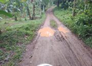 Viral Jalan Rusak di Mancak Tak Tersentuh 25 Tahun, Warga Tantang Bukti Nyata Bukan Janji