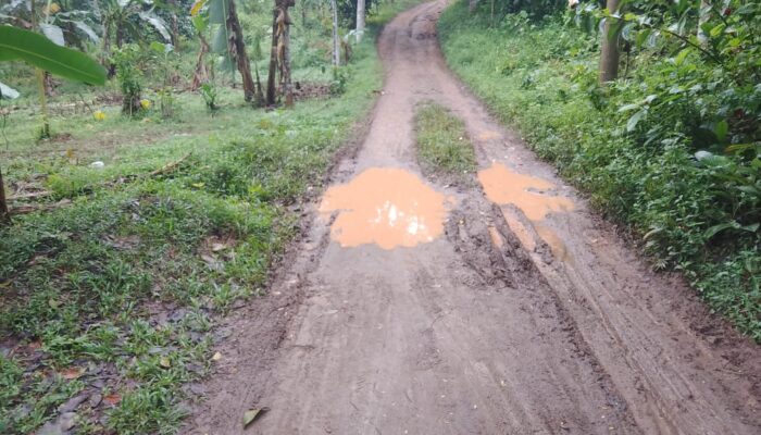 Viral Jalan Rusak di Mancak Tak Tersentuh 25 Tahun, Warga Tantang Bukti Nyata Bukan Janji
