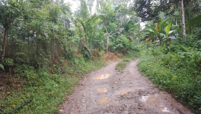 25 Tahun Dikhianati Aspal: Warga Tampakaso Menjerit di Jalan Licin Menuju Jurang