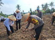 Cilegon Tanam Jagung Serentak: TNI- Polri dan Pemkot Bersatu Demi Ketahanan Pangan Nasional