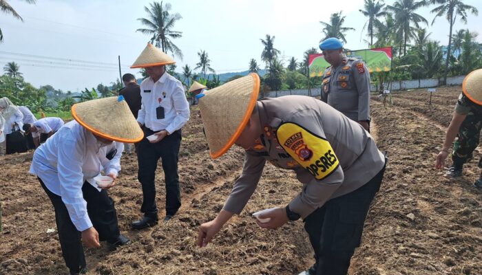 Cilegon Tanam Jagung Serentak: TNI- Polri dan Pemkot Bersatu Demi Ketahanan Pangan Nasional