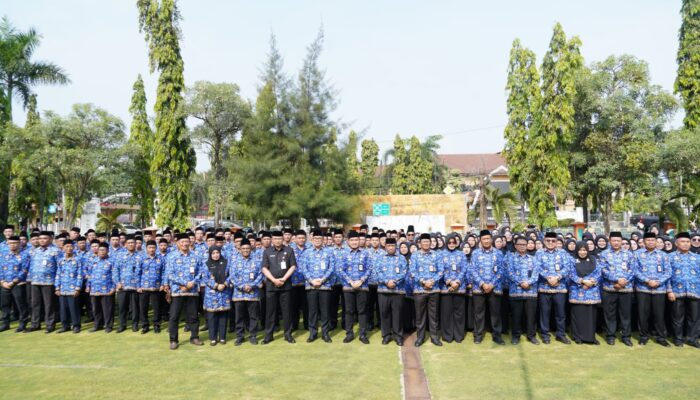 227 Honorer Cilegon Resmi Jadi PPPK, Ribuan Lainnya Menjerit: Kami Juga Manusia