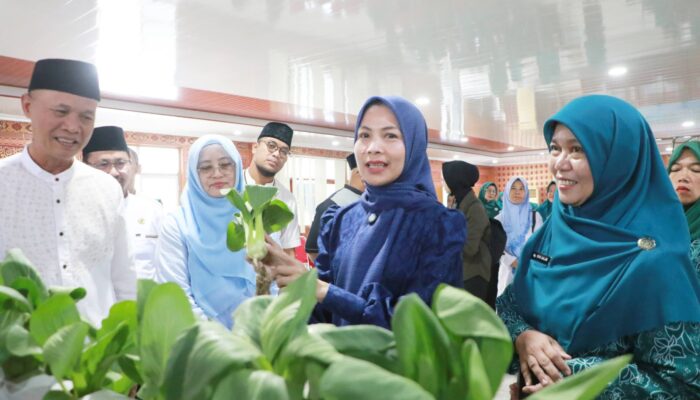 Ratu Zakiyah Gebrak Swasembada Pangan Lewat Gerakan Gapudakan: Ibu-Ibu PKK Serbu Budidaya Ikan di Halaman Rumah