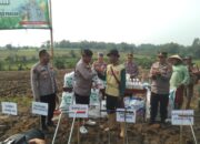 Kapolres Serang Tancap Gas Tanam Jagung, 300 Hektar Siap Digarap Demi Swasembada Pangan Nasional