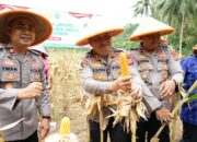 Panen Raya Jagung di Anyar: Sinergi Polres Cilegon dan Petani Gebrak Swasembada Pangan 2025