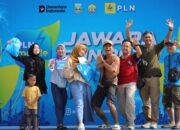 PLN Mobile Jawara Run 2025 Diserbu Ribuan Pelari: Tiket Ludes dalam 3 Hari, Antusiasme Menggelegar di KP3B Serang