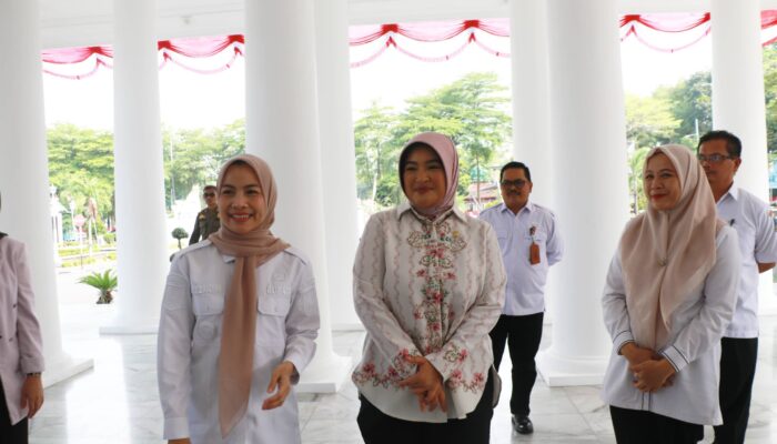 Annisa Mahesa Siap Kawal Dana Pusat demi Kesejahteraan Kabupaten Serang