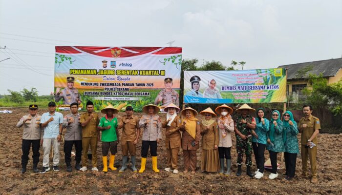 Gempur Ketahanan Pangan! Polsek Cikande dan BUMDes Maju Bersama Genjot Program 2 Hektar Jagung per Desa