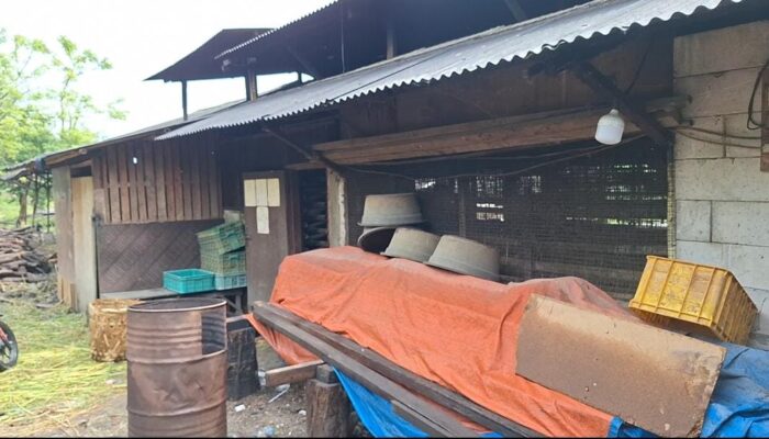 Pabrik Tahu dan Kandang Sapi Ilegal di Sukmajaya Cilegon Diduga Cemari Lingkungan, Warga Minta Segel Permanen