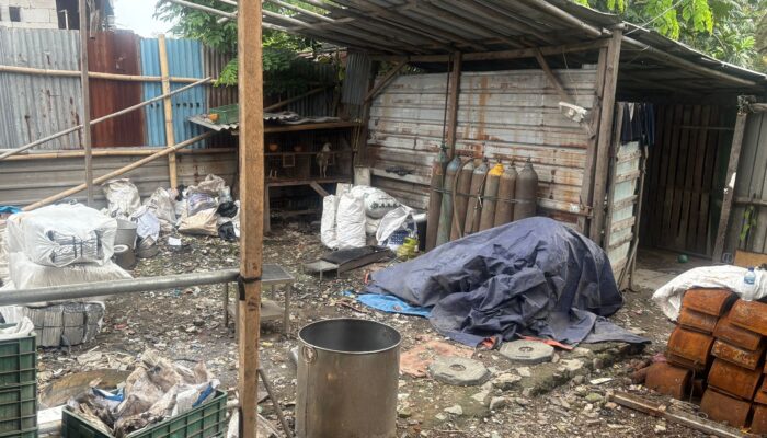 Geger! Udang Beku Indonesia Terkontaminasi Radioaktif Cs-137, BAPETEN Turun Tangan