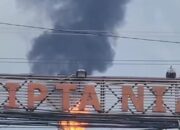 Pengusaha Lokal Bongkar Dugaan Skandal Scrap Proyek LCI: Ada Tersangka Premanisme Jadi Komite?