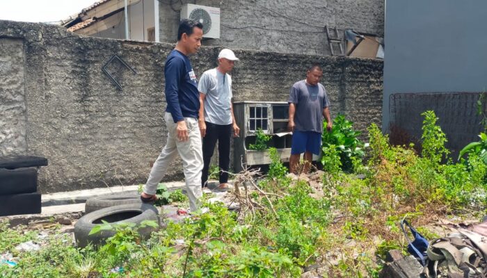 Ular Sanca Raksasa Gegerkan Warga Ketileng, Lurah Turun Tangan di Hari Libur