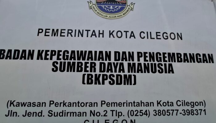 3.491 PPPK Cilegon Lolos Seleksi, BKPSDM: Ada yang Mundur hingga Tidak Sesuai Kebutuhan