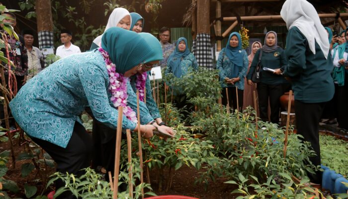 Tinawati Andra Soni Dorong PKK Banten Jadi Motor Pemberdayaan Lingkungan