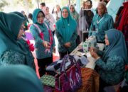 Tinawati Andra Soni Gelorakan Semangat Kader PKK Banten: Dari Desa Sodong, Bangun Keluarga Sejahtera dan Mandiri