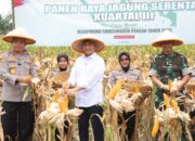 Wagub Dimyati Tegaskan Panen Raya Jagung Jadi Tonggak Swasembada Pangan dan Kesejahteraan Petani