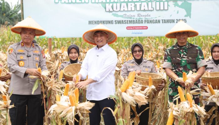 Wagub Dimyati Tegaskan Panen Raya Jagung Jadi Tonggak Swasembada Pangan dan Kesejahteraan Petani