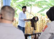 Kapolres Serang Dinobatkan Jadi “Polisi Jagung Indonesia”, Panen Raya 5 Hektar di Serang Pecahkan Rekor Swasembada Pangan