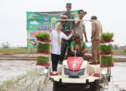 Bupati Serang Gaspol Tanam Padi Modern, Target Panen 3 Kali Setahun Demi Petani Sejahtera