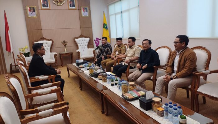 Gemma LO dan Yoka Desthuraka Dinilai Punya ‘Chemistry’ Kuat, Wali Kota Cilegon Jagokan G Jadi Direktur Operasional BPRSCM