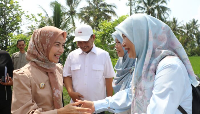 Rayakan HUT ke-499, Bupati Serang Ratu Zakiyah Blusukan ke Desa Terpencil Cikedung: Kami Hadir untuk Rakyat