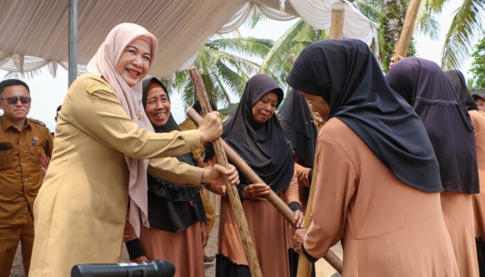 Festival Sangga Nagara 2025: Padarincang Bergelora, Lumbung Padi Banten Disulap Jadi Panggung Budaya dan Ekonomi Rakyat