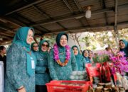 Tinawati Andra Soni Kobarkan Semangat Inovasi PKK Banten: HKG Jadi Ajang Berbagi Inspirasi dan Kolaborasi Hebat Kader