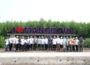 Wapres Gibran dan Gubernur Andra Soni Tanam Mangrove di Banten: Gerakkan Revolusi Hijau Lawan Krisis Iklim