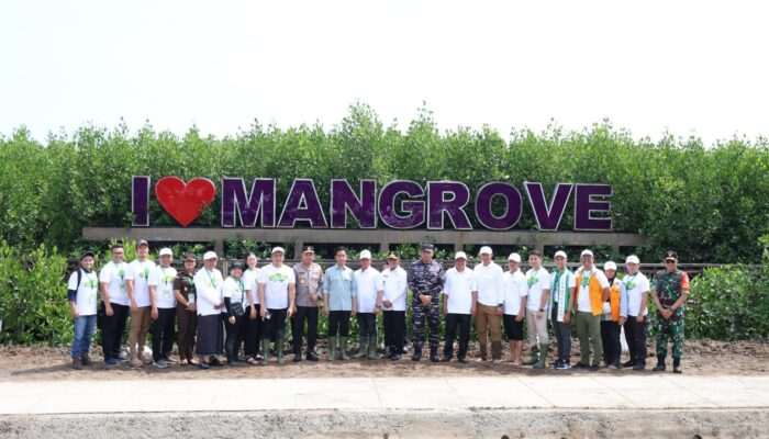 Wapres Gibran dan Gubernur Andra Soni Tanam Mangrove di Banten: Gerakkan Revolusi Hijau Lawan Krisis Iklim