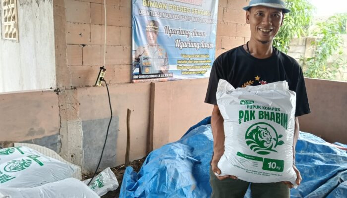 Dari Kotoran Jadi Kemakmuran! Bhabinkamtibmas Polsek Kragilan Sulap Limbah Kerbau Jadi Pupuk “Pak Bhabin” Bernilai Emas