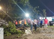Pohon Raksasa Tumbang di Jalan Lingkar Selatan, Kapolsek Cibeber AKP Atep Mulyana Turun Tangan Pimpin Evakuasi Malam Hari