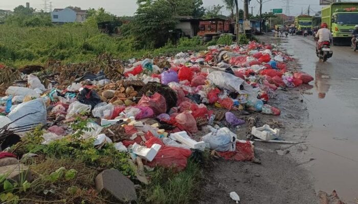 Sampah Menggunung di Bojonegara–Pulo Ampel, Warga Sesak Napas dan Minta TPS Segera Dibangun